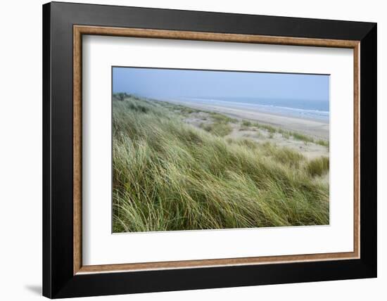 Curracloe Beach, County Wexford, Leinster, Republic of Ireland (Eire), Europe-Nico Tondini-Framed Photographic Print