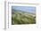 Curracloe Beach, County Wexford, Leinster, Republic of Ireland (Eire), Europe-Nico Tondini-Framed Photographic Print