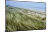 Curracloe Beach, County Wexford, Leinster, Republic of Ireland (Eire), Europe-Nico Tondini-Mounted Photographic Print