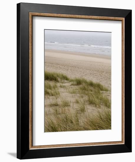 Curracloe Beach, County Wexford, Leinster, Republic of Ireland (Eire)-Sergio Pitamitz-Framed Photographic Print