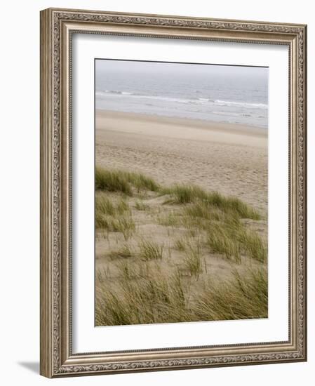 Curracloe Beach, County Wexford, Leinster, Republic of Ireland (Eire)-Sergio Pitamitz-Framed Photographic Print