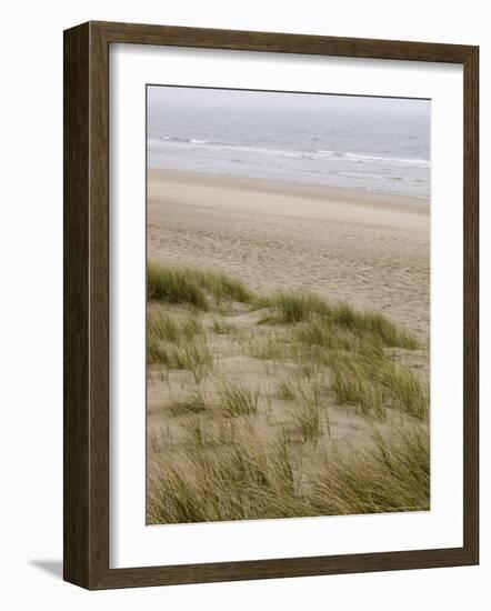 Curracloe Beach, County Wexford, Leinster, Republic of Ireland (Eire)-Sergio Pitamitz-Framed Photographic Print