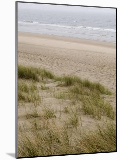 Curracloe Beach, County Wexford, Leinster, Republic of Ireland (Eire)-Sergio Pitamitz-Mounted Photographic Print