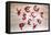 Currency Units-COSPV-Framed Premier Image Canvas