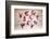 Currency Units-COSPV-Framed Photographic Print