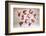 Currency Units-COSPV-Framed Photographic Print