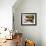 Curried Shiitake and Chinese Cabbage with Rice in Bowls-Peter Rees-Framed Photographic Print displayed on a wall