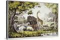 Stretched Canvas Print