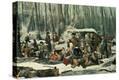 Stretched Canvas Print