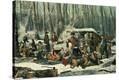 Stretched Canvas Print