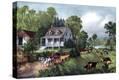 Stretched Canvas Print