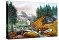 Stretched Canvas Print