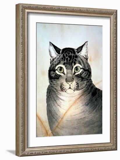 Currier & Ives: Cat-Currier & Ives-Framed Giclee Print