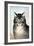 Currier & Ives: Cat-Currier & Ives-Framed Giclee Print