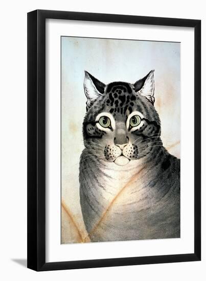 Currier & Ives: Cat-Currier & Ives-Framed Giclee Print