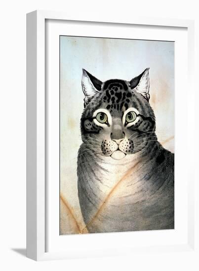 Currier & Ives: Cat-Currier & Ives-Framed Giclee Print