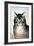 Currier & Ives: Cat-Currier & Ives-Framed Giclee Print