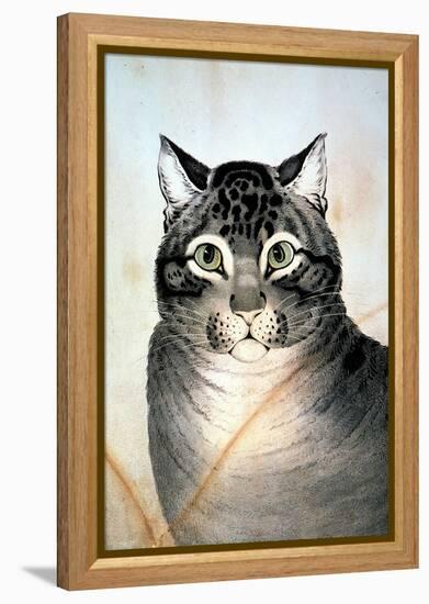 Currier & Ives: Cat-Currier & Ives-Framed Premier Image Canvas