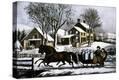 Stretched Canvas Print