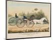 Premium Giclee Print