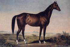 Lexington, The Celebrated Horse-Currier & Ives-Giclee Print