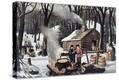 Stretched Canvas Print