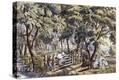 Stretched Canvas Print
