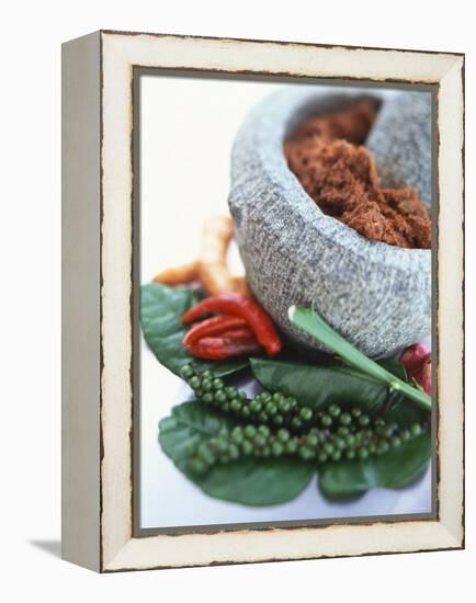 Curry Paste in a Mortar and Assorted Spices-Peter Medilek-Framed Premier Image Canvas