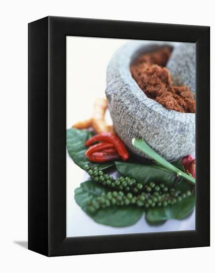 Curry Paste in a Mortar and Assorted Spices-Peter Medilek-Framed Premier Image Canvas