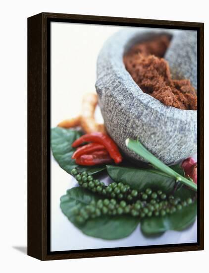 Curry Paste in a Mortar and Assorted Spices-Peter Medilek-Framed Premier Image Canvas