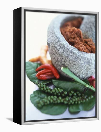 Curry Paste in a Mortar and Assorted Spices-Peter Medilek-Framed Premier Image Canvas