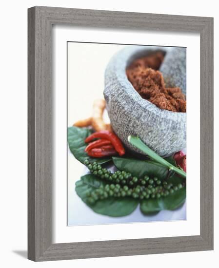 Curry Paste in a Mortar and Assorted Spices-Peter Medilek-Framed Photographic Print