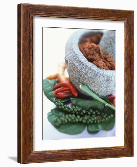 Curry Paste in a Mortar and Assorted Spices-Peter Medilek-Framed Photographic Print