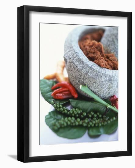 Curry Paste in a Mortar and Assorted Spices-Peter Medilek-Framed Photographic Print