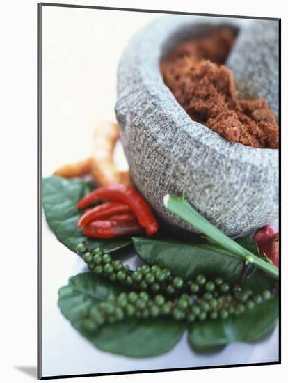 Curry Paste in a Mortar and Assorted Spices-Peter Medilek-Mounted Photographic Print