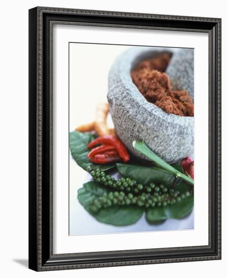 Curry Paste in a Mortar and Assorted Spices-Peter Medilek-Framed Photographic Print