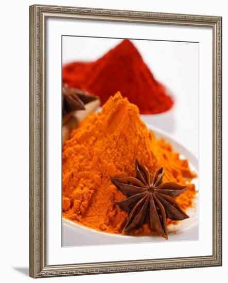 Curry Powder and Paprika, Star Anise-null-Framed Photographic Print