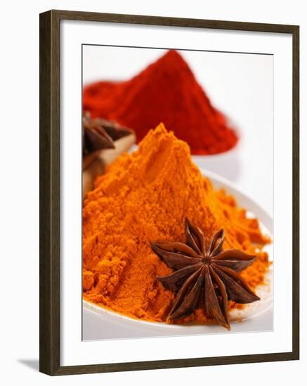 Curry Powder and Paprika, Star Anise-null-Framed Photographic Print