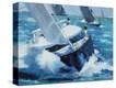Stretched Canvas Print