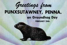 Greetings From Punxsutawney, Penna On Groundhog Day-Curt Teich & Company-Art Print