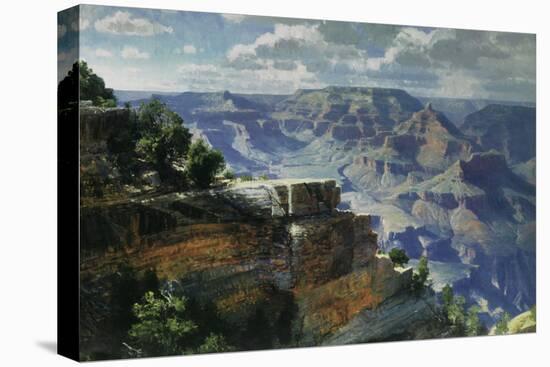 Stretched Canvas Print, , large