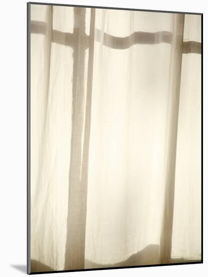 Curtains II-Nicole Katano-Mounted Photo