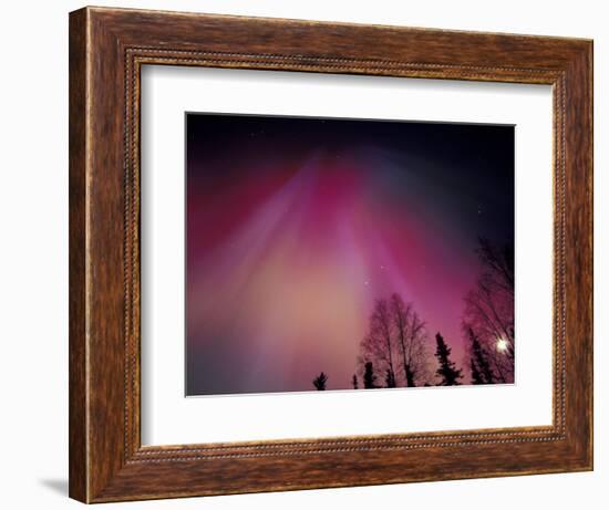 Curtains of Colorful Northern Lights Above Fairbanks, Alaska, USA-Hugh Rose-Framed Photographic Print