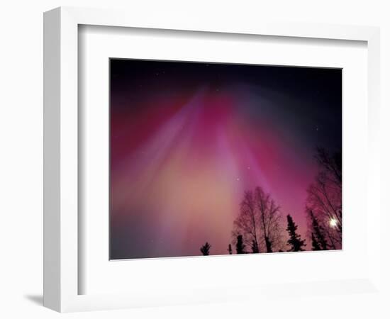 Curtains of Colorful Northern Lights Above Fairbanks, Alaska, USA-Hugh Rose-Framed Photographic Print