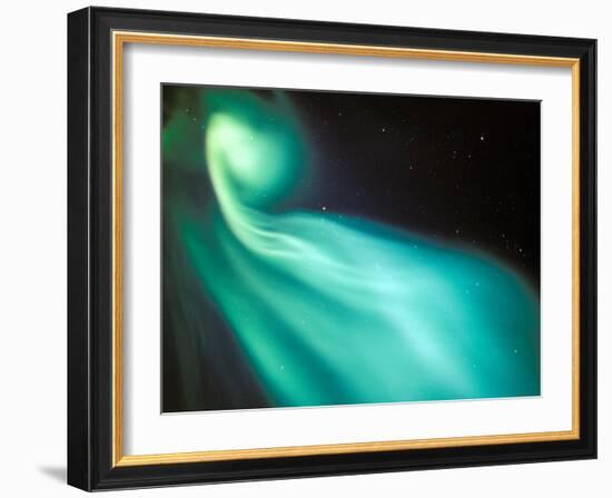 Curtains of Green Aurora in the Northern Sky, Arctic Coastal Plain, Alaska, USA-Hugh Rose-Framed Photographic Print