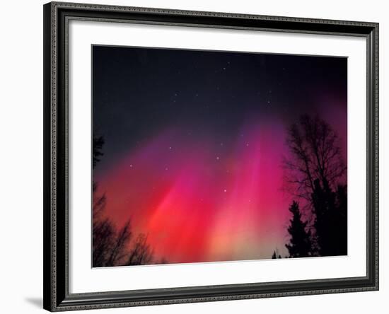 Curtains of Northern Lights above Fairbanks, Alaska, USA-Hugh Rose-Framed Photographic Print