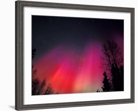 Curtains of Northern Lights above Fairbanks, Alaska, USA-Hugh Rose-Framed Photographic Print