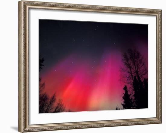 Curtains of Northern Lights above Fairbanks, Alaska, USA-Hugh Rose-Framed Photographic Print