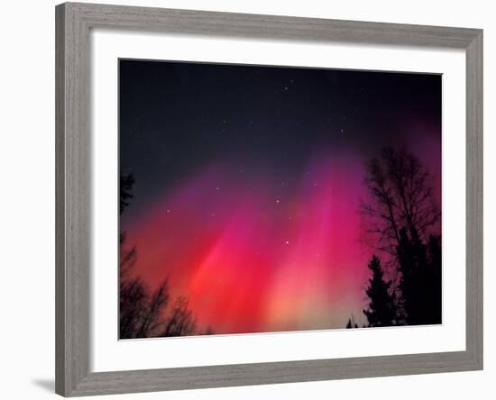 Curtains of Northern Lights above Fairbanks, Alaska, USA-Hugh Rose-Framed Photographic Print