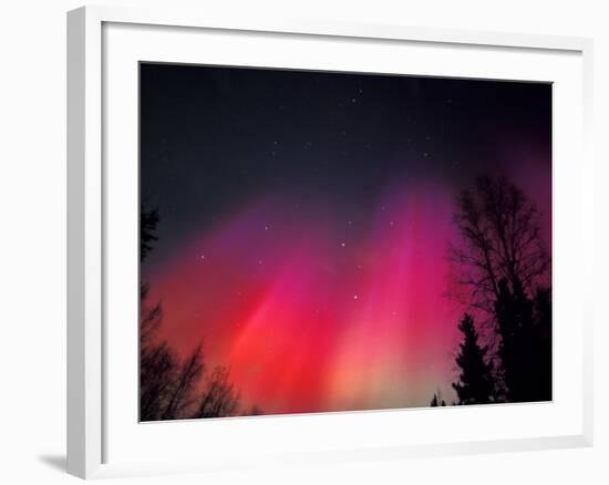 Curtains of Northern Lights above Fairbanks, Alaska, USA-Hugh Rose-Framed Photographic Print